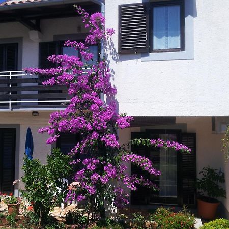 Apartments Barac Poreč Exteriér fotografie