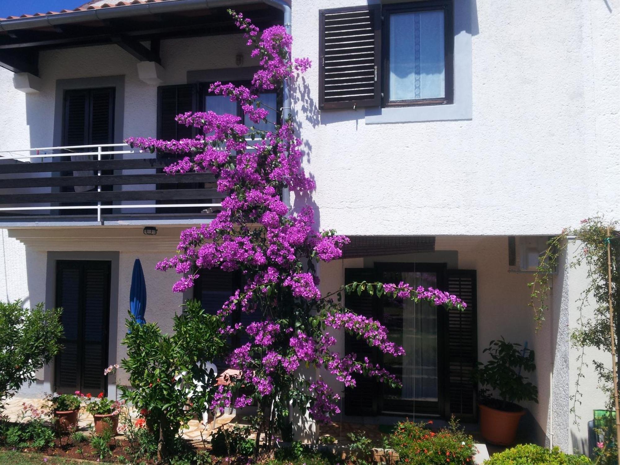 Apartments Barac Poreč Exteriér fotografie